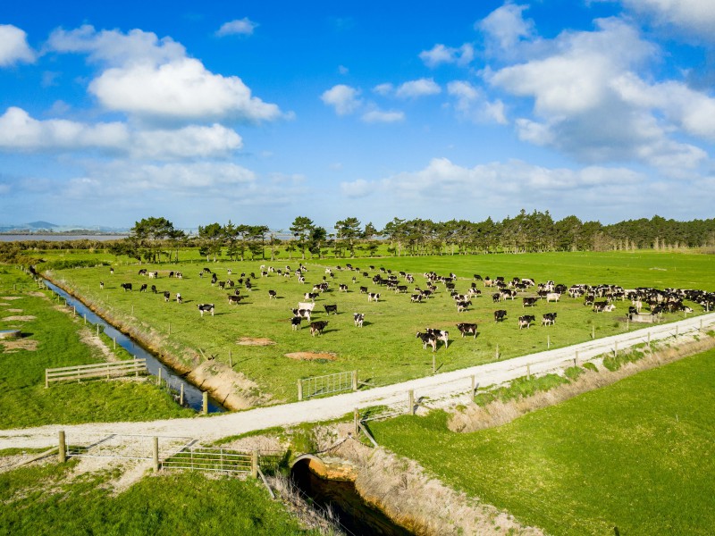 2611 Pouto Road, Te Kopuru, Kaipara, 4 Kuwarto, 0 Banyo