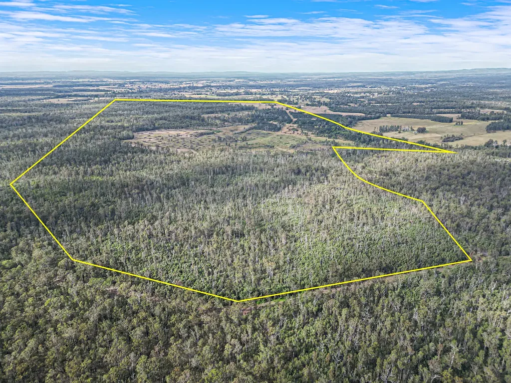 Wyan  Productive Country With Creek Frontage