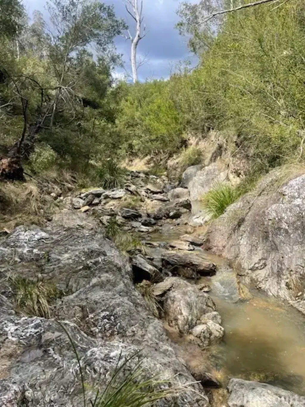 Yarrowitch  LAND FOR VERY LITTLE MONEY - 114 Acres 2.5 Hours from the Mid North Coast