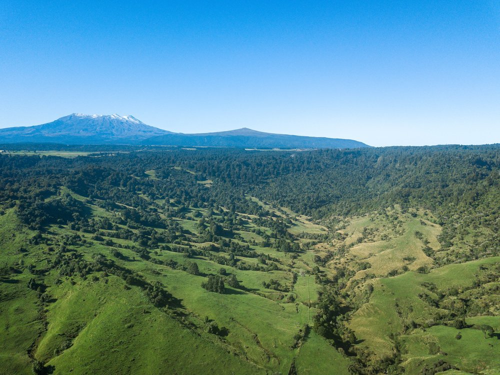 Kaitieke Road, Owhango, Ruapehu, 0房, 1浴, Grazing