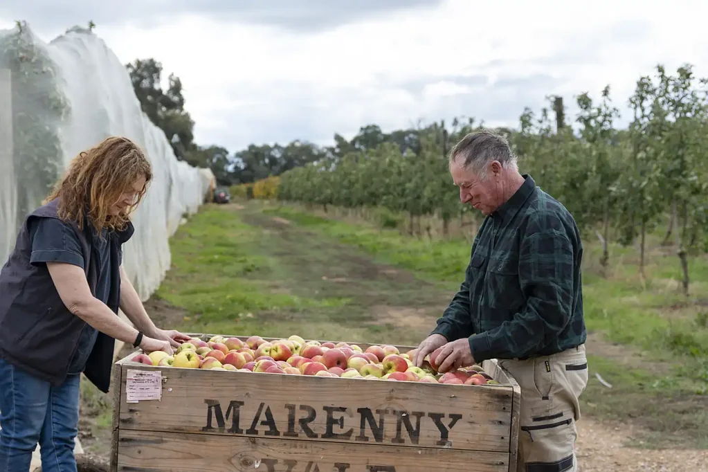 Bunbartha  "Marenny Vale" - An Established Orchard, Commercial Site & House