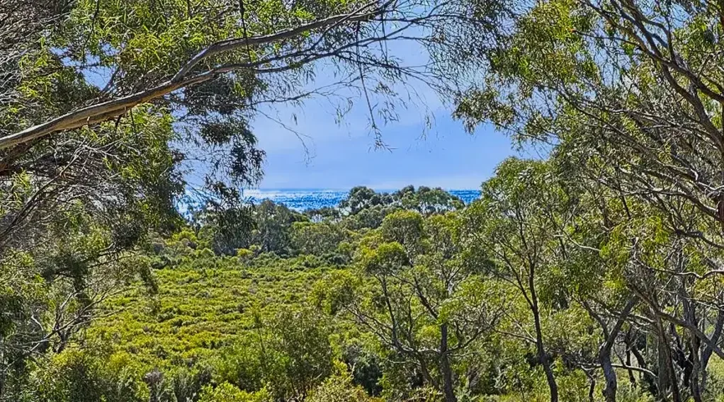 Binalong Bay  Sneaky Views with So Much Privacy
