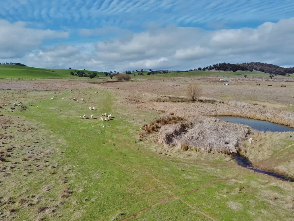 Young 41 Acres With Dwelling Entitlement
