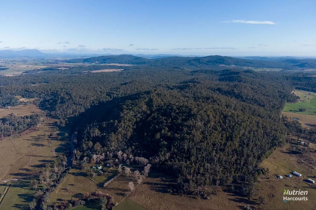 Exton  "Woodville Run" Conservation - Lifestyle - Timber Potential