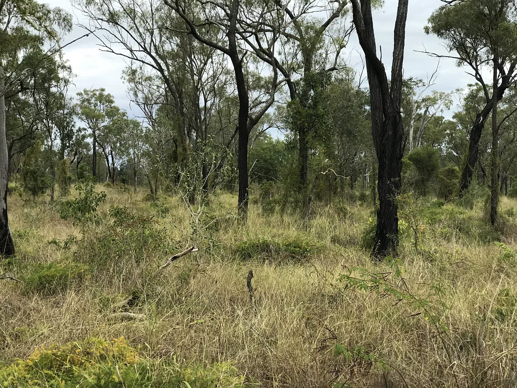 Alton Downs  Potential here -Great starter block in the country !