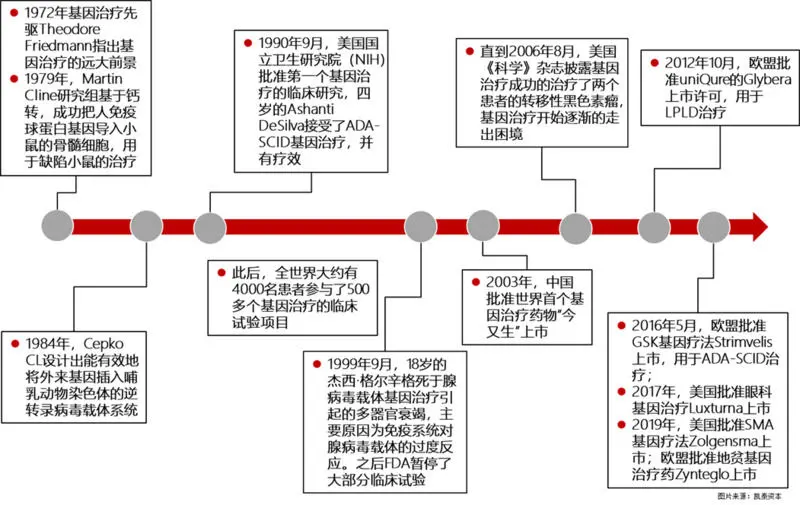 聚焦基因治疗药物开发，「Exegenesis Bio」获险峰旗云领投逾千万美元融资