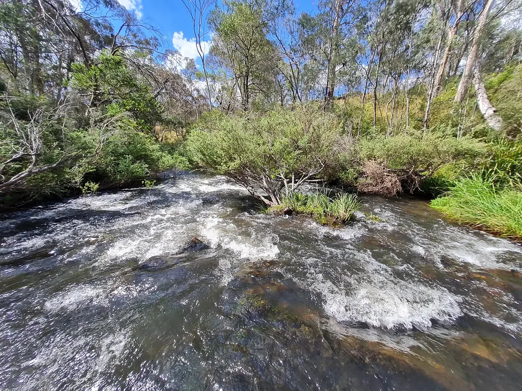 Bonang Peaceful Bush Sanctuary