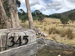 345 Springhill Bottom Road, Colebrook