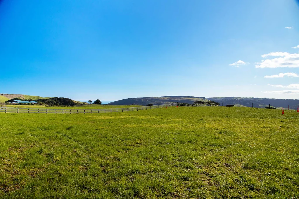 Pollok 1.3ha - Stunning Harbour Views