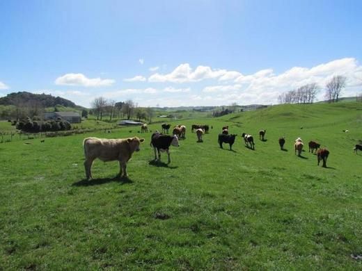 42 Tawa Street, Aria, Waitomo, 2 chambres, 1 salles de bain