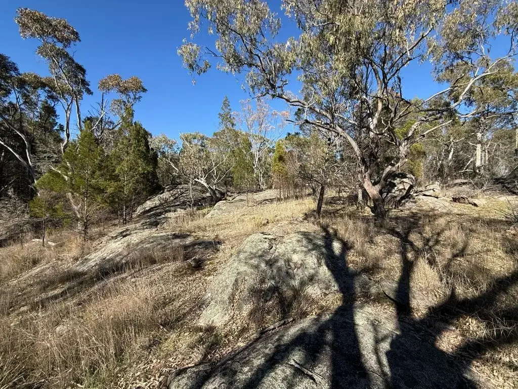Broadwater 17 Hectares 10 minutes from Stanthorpe