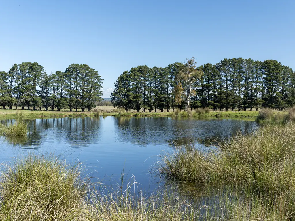 Ruffy Family Owned Since 1881 - Attractive & Productive 145.9 Acres - Spring Water - Views ? Next to Ruffy Township