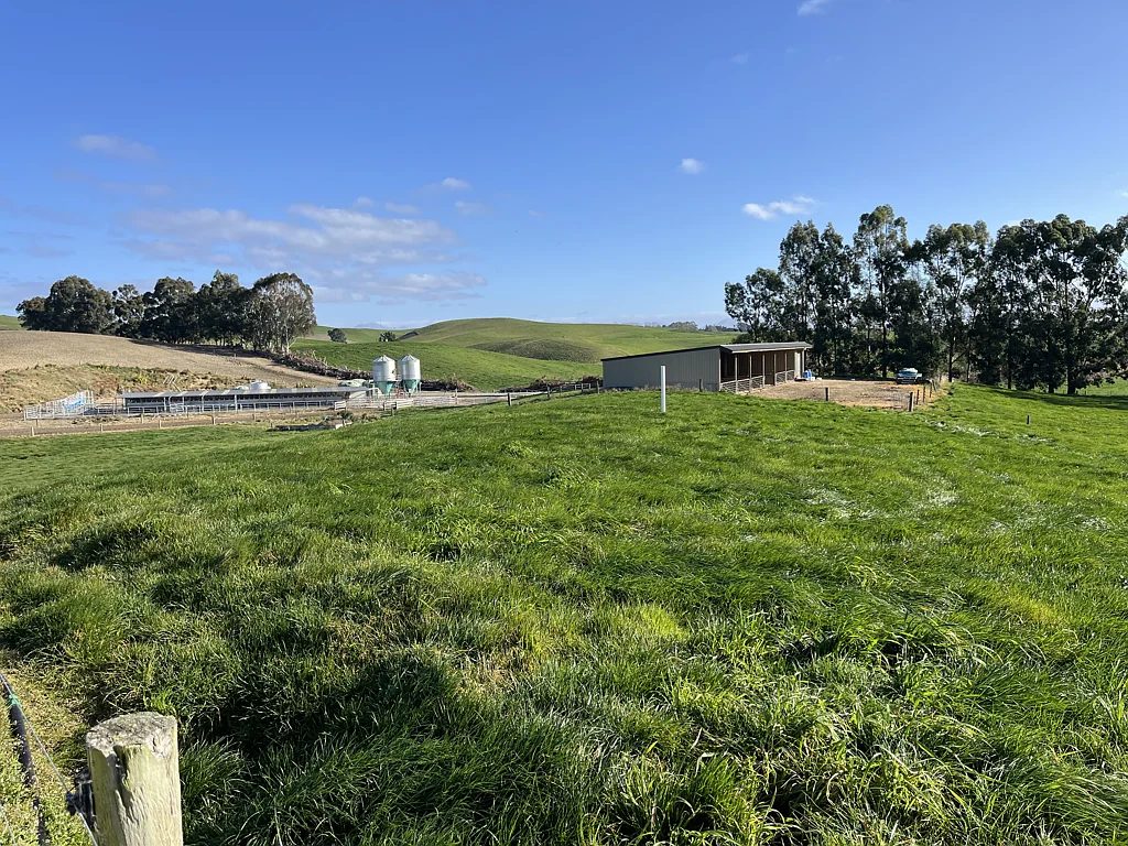 Duntroon Efficient, Well-located Dairy Farm