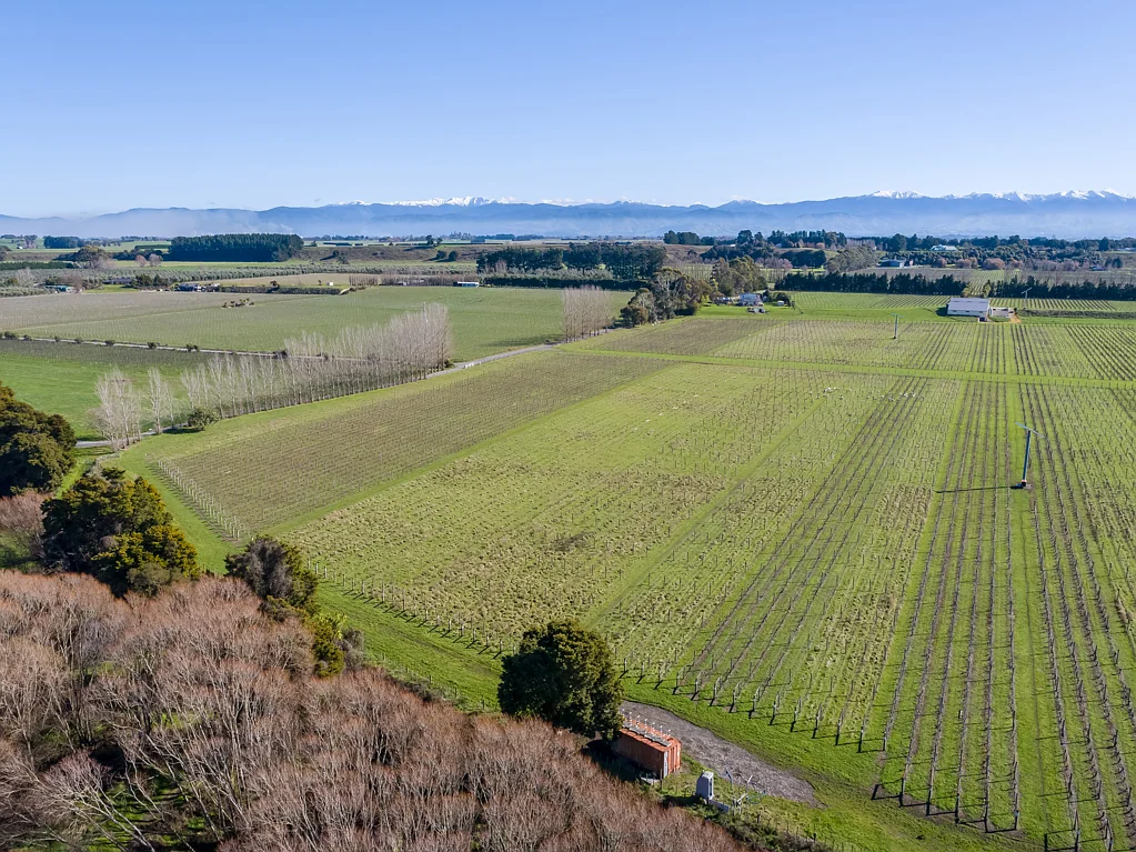 Carterton Build amongst the vines
