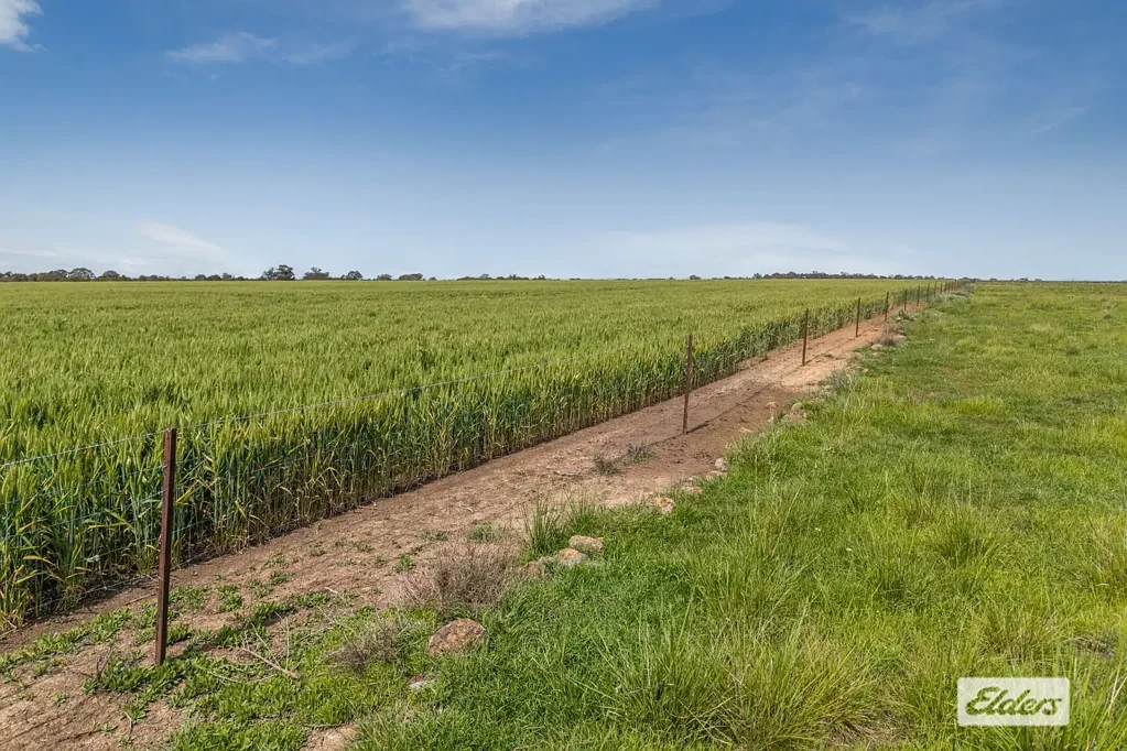 Baringhup Cropping & Grazing, 101.37 Ha - 250.5 Ac