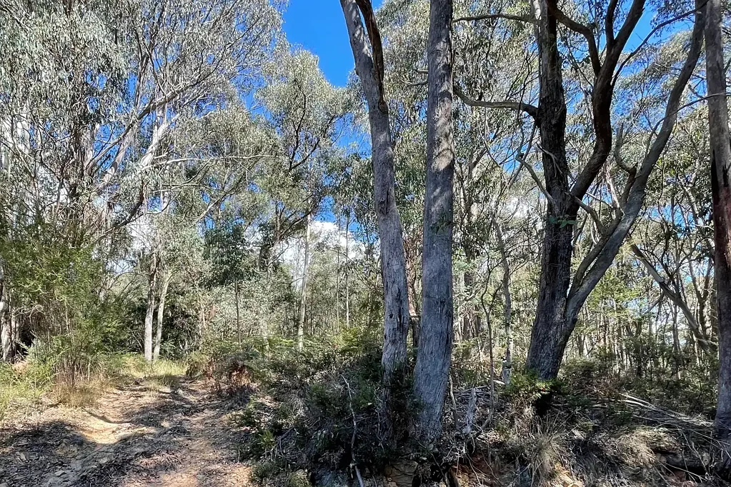 LOT 3 McDougal Street, Woods Point, VIC 3723