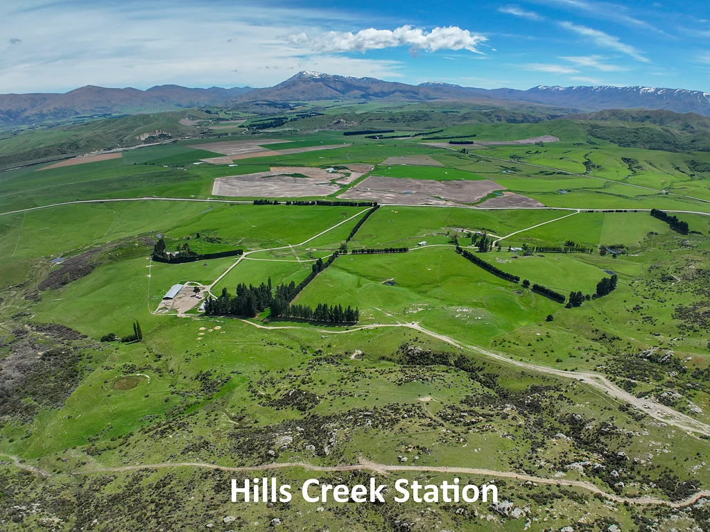 Oturehua  Hills Creek and Styx Station