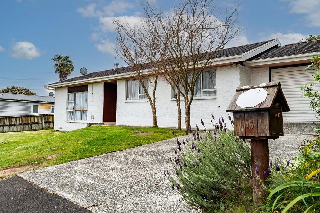Nawton 3 Bedroom Spacious Living with Great Potential