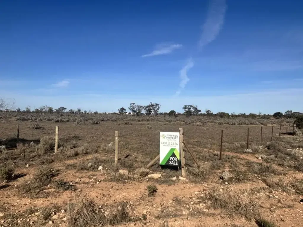 Section 64 Cemetery Road, Morgan, SA 5320