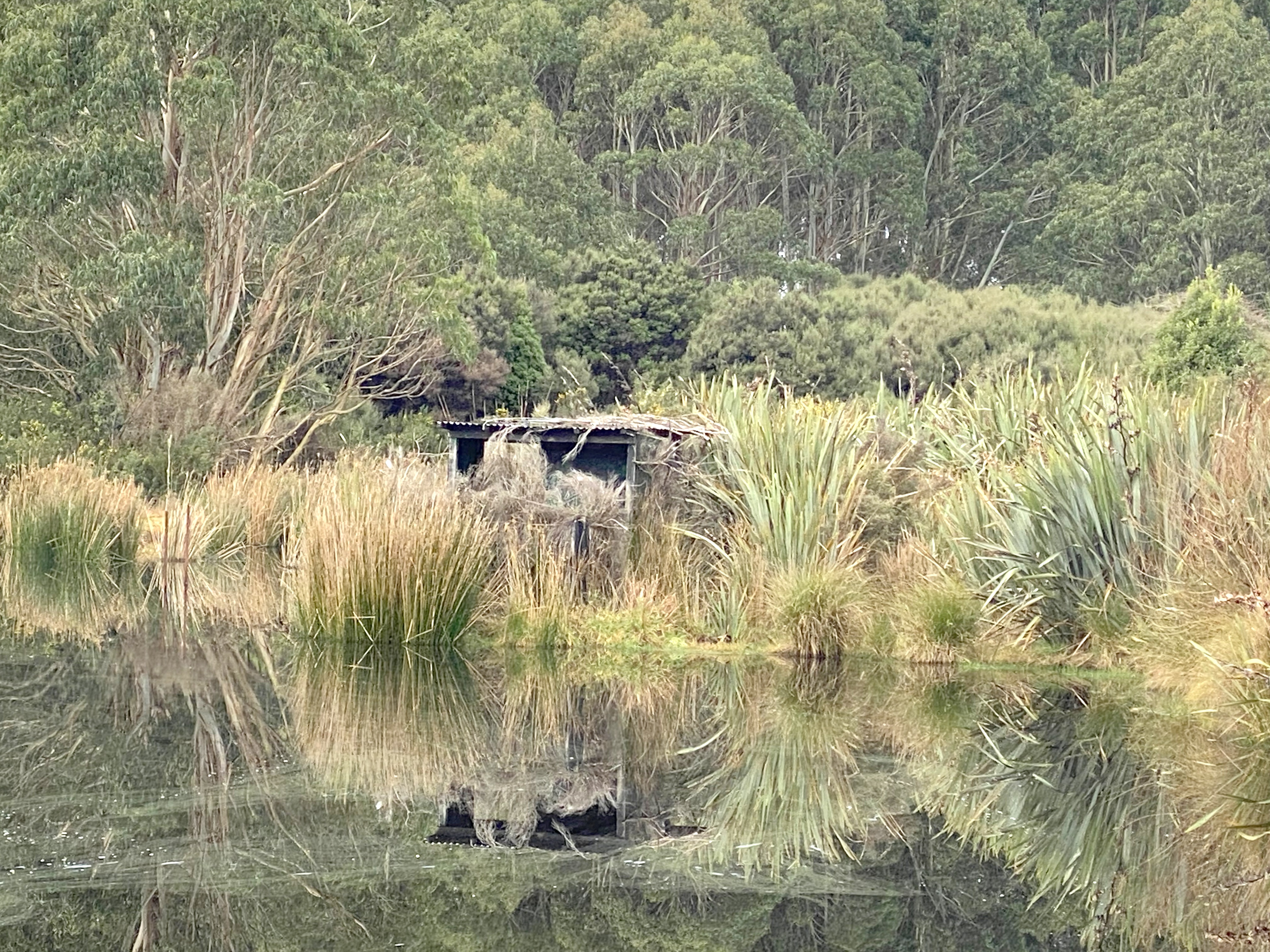 600 Marshall Road, Awarua Wetlands, Southland, 0 Schlafzimmer, 1 Badezimmer