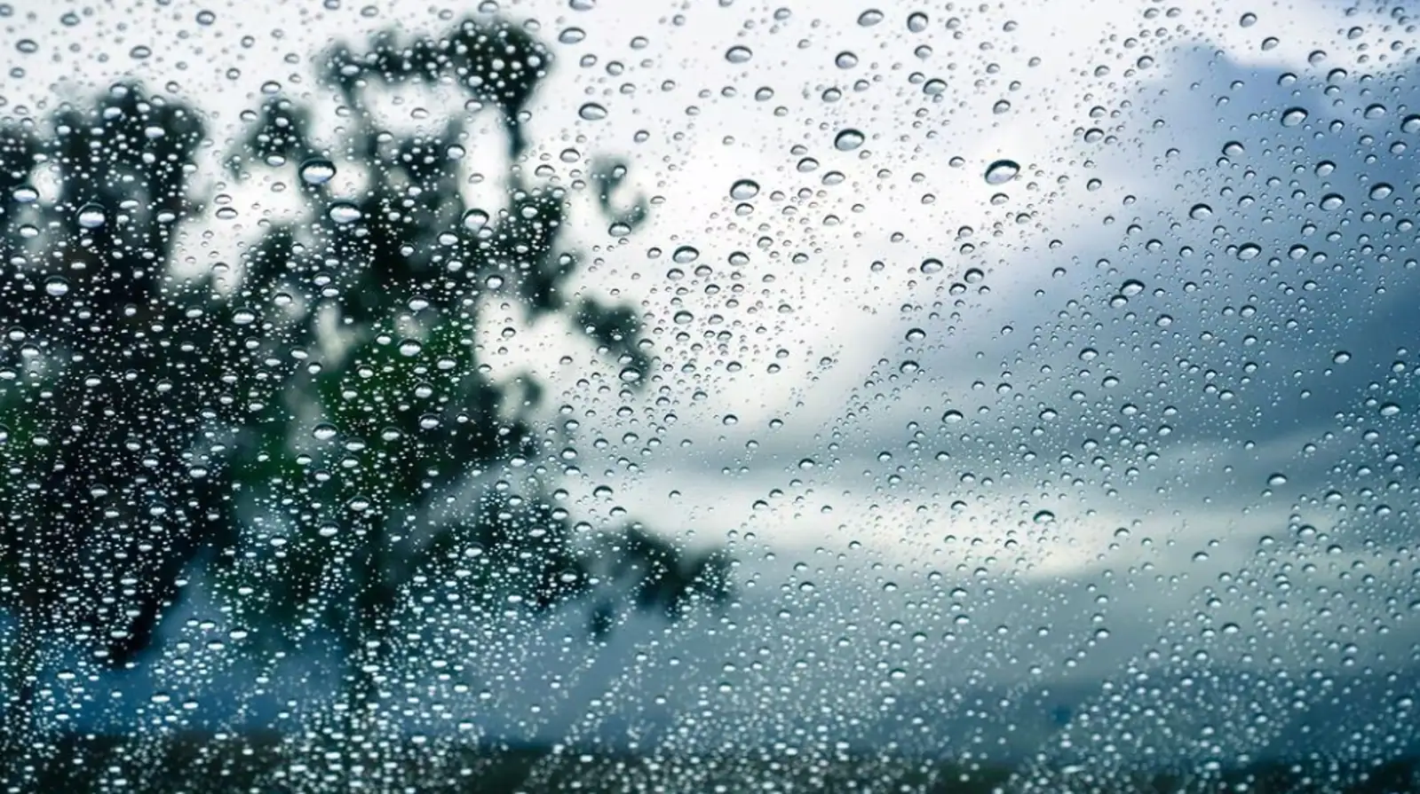 明天起,新一轮疾风暴雨即将抵达新西兰,奥克兰首当其冲
