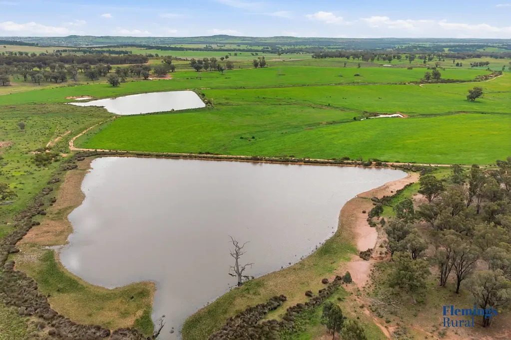 Parkes Versatile Central West Grazing Property