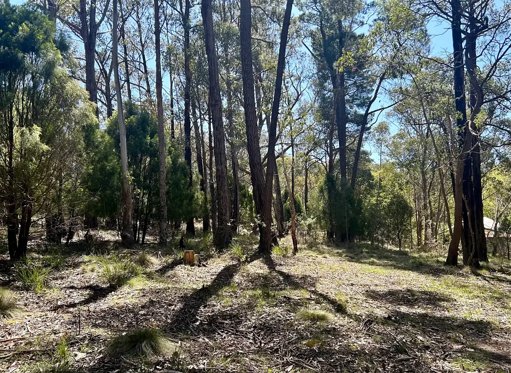 Blackwood 1 ACRE of Residential Land
 Rare Gem Awaits with a 
price  reduction