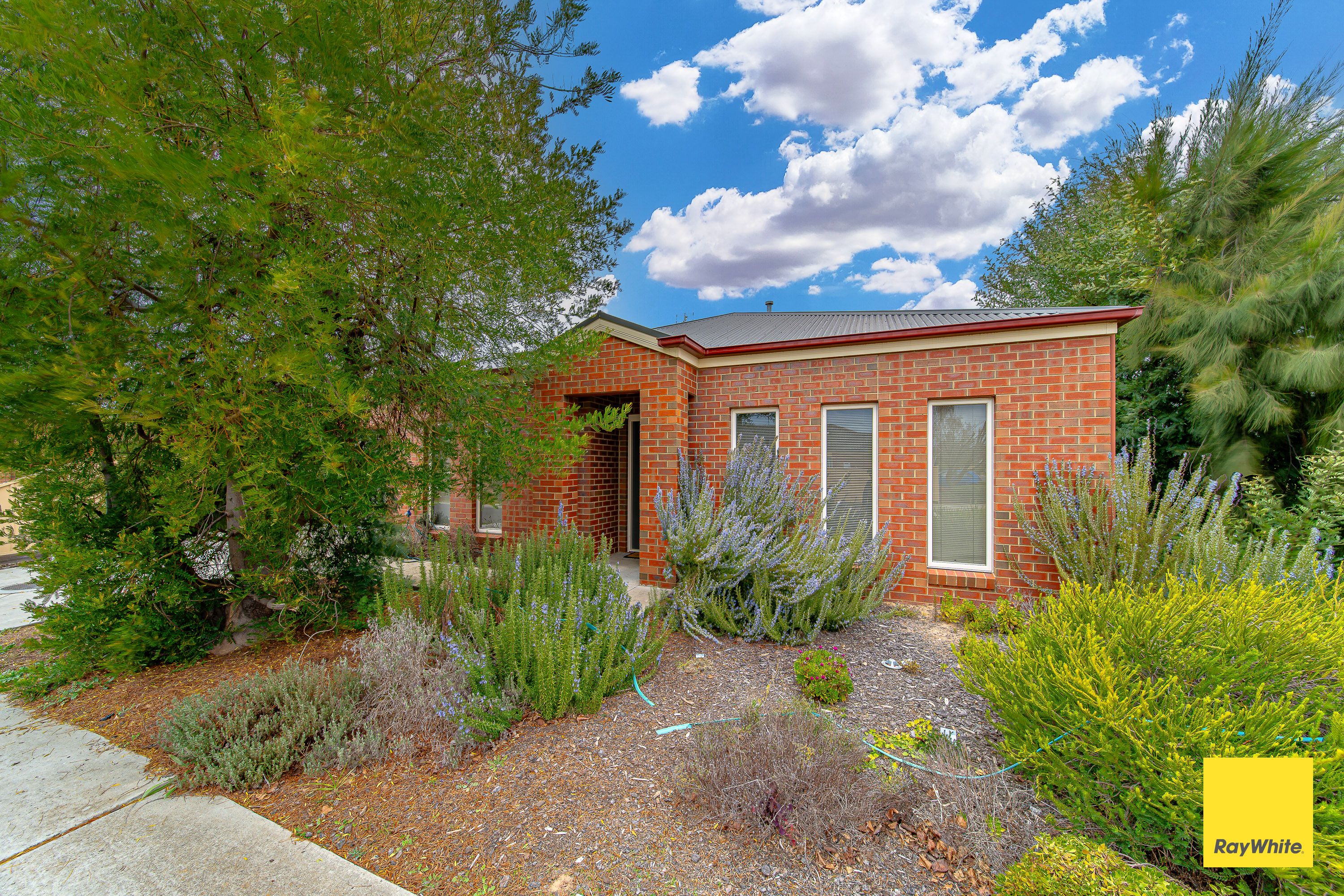 16 LINDSAY CT, STRATHFIELDSAYE VIC 3551, 0 chambres, 0 salles de bain, House