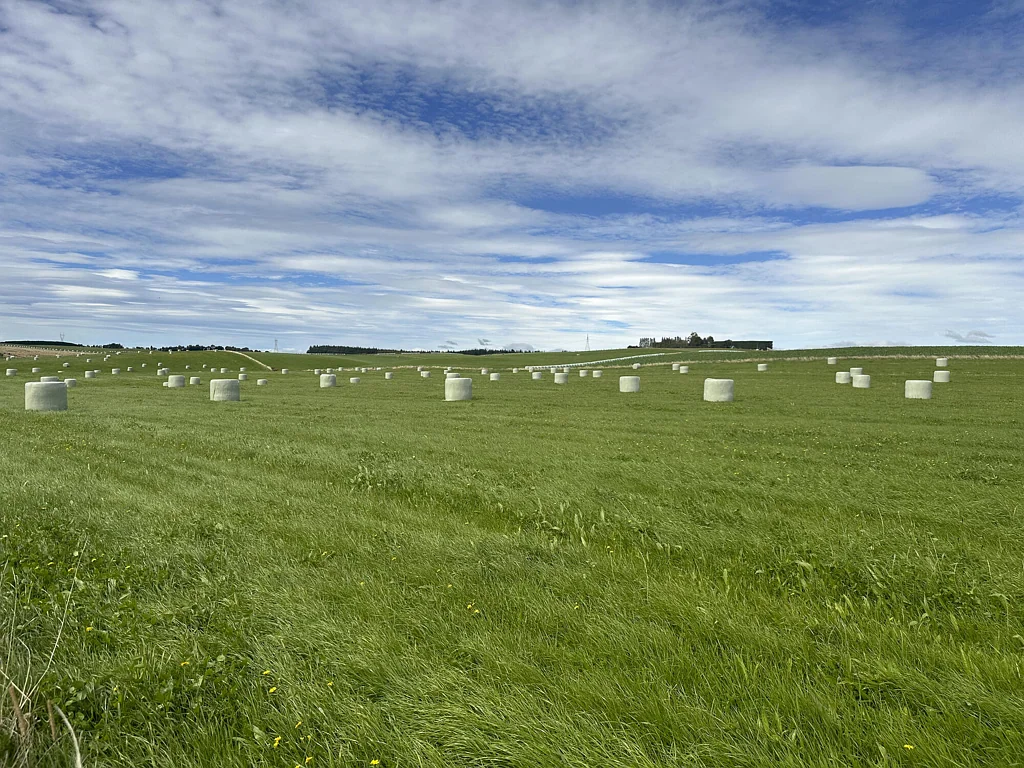 Winton Surrounds  A lease to buy option may be considered