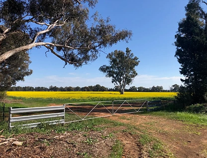 Lot 155 DP750852 Burley Griffin Way, Ariah Park, Riverina, 0 rūma, 0 rūma horoi, Lifestyle Property