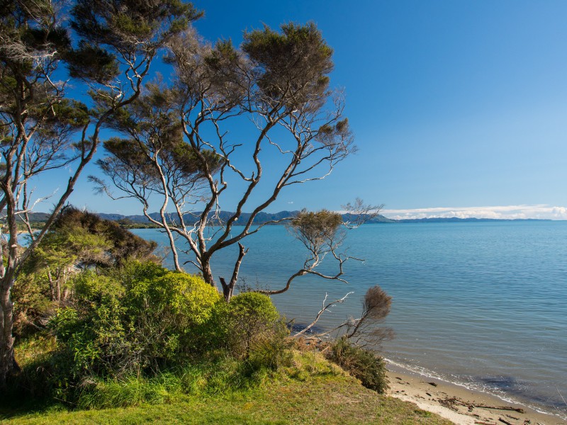 100 Fraser Road, Kahurangi National Park, Tasman, 3 غرف, 2 حمامات