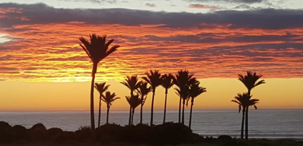 Westport Surrounds A slice of paradise