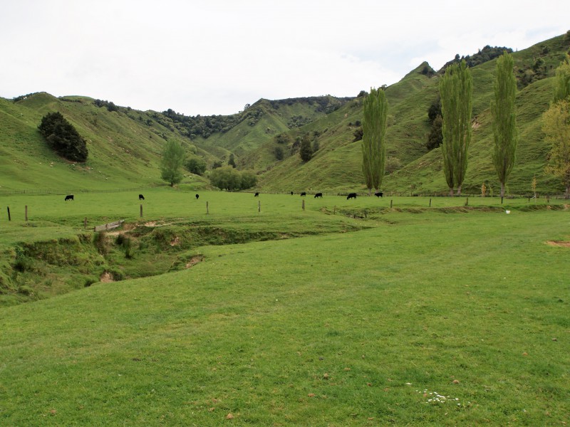 450 Ramaroa Road, Aria, Waitomo, 3 રૂમ, 0 બાથરૂમ