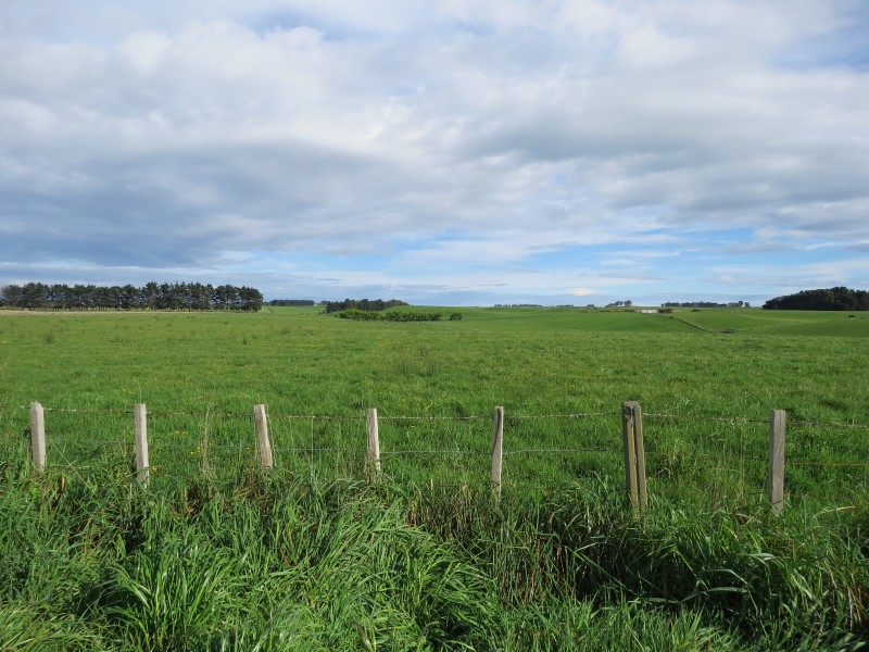 90 Mchardie Road, Bulls, Rangitikei, 0 phòng ngủ, 0 phòng tắm