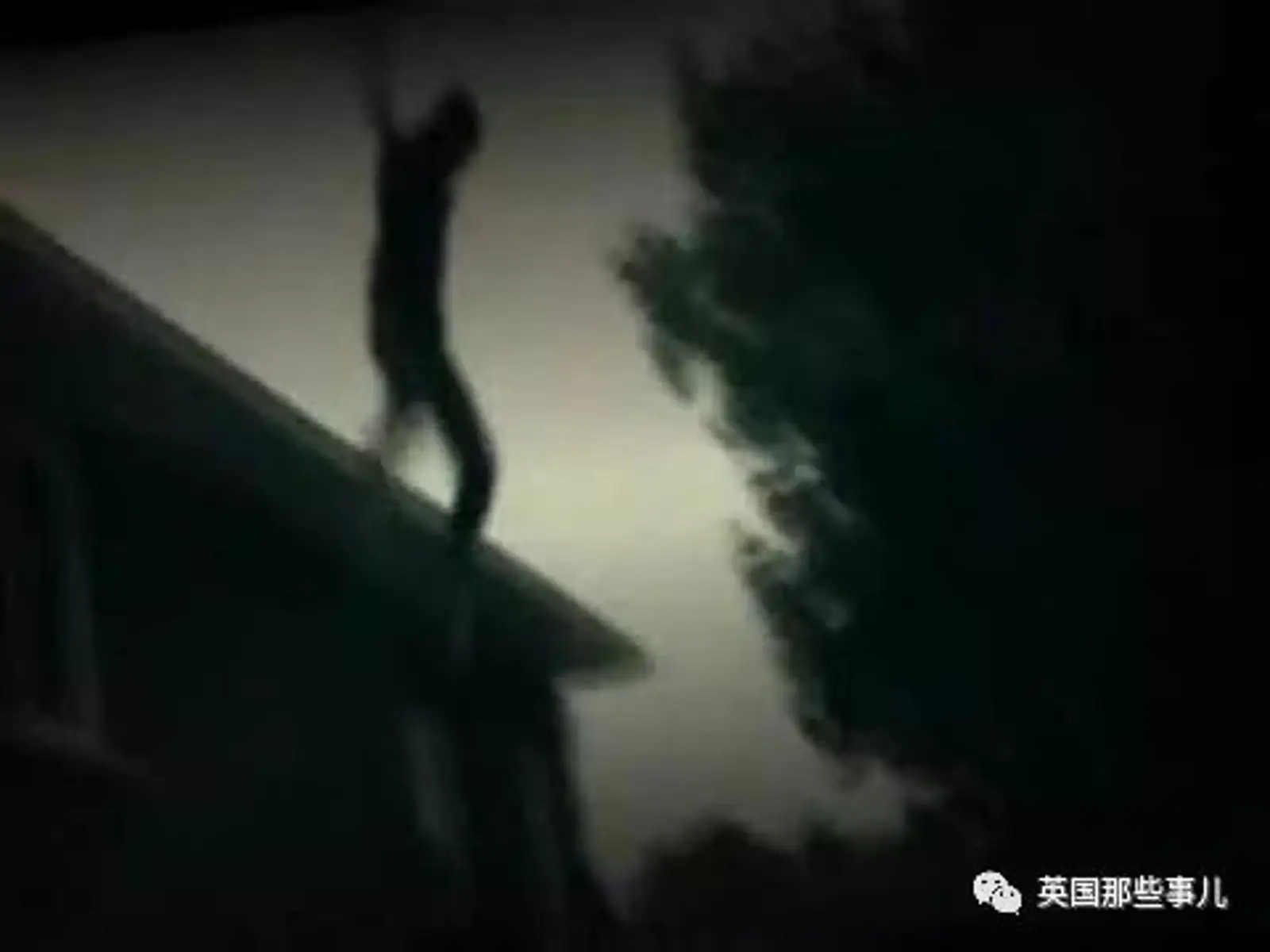 逍遥法外8年的平成忍者大盗，居然是个70多岁的老爷子？