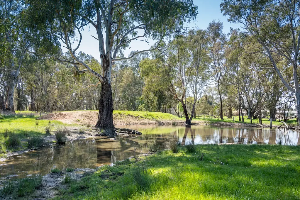 Benalla  Small acreage for sale at Benalla's Doorstep