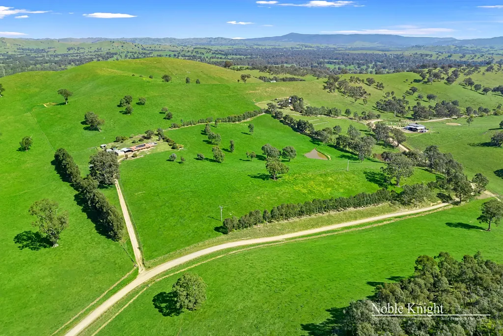 Yea  Rural Opportunity On The Edge Of Town