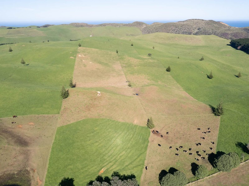 1496 Babylon Coast Road, Dargaville Surrounds, Kaipara, 0 Schlafzimmer, 0 Badezimmer