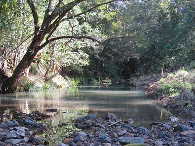 Address Withheld, Lower Pappinbarra, NSW 2446, 2 rūma, 1 rūma horoi, Lifestyle Property