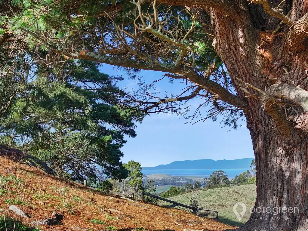 Mount Best 5 ACRES WITH AMAZING VIEWS