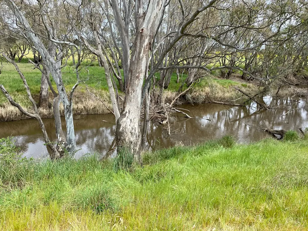 Muskerry 73 Acre Lifestyle Opportunity - Wide Open Spaces & River Access