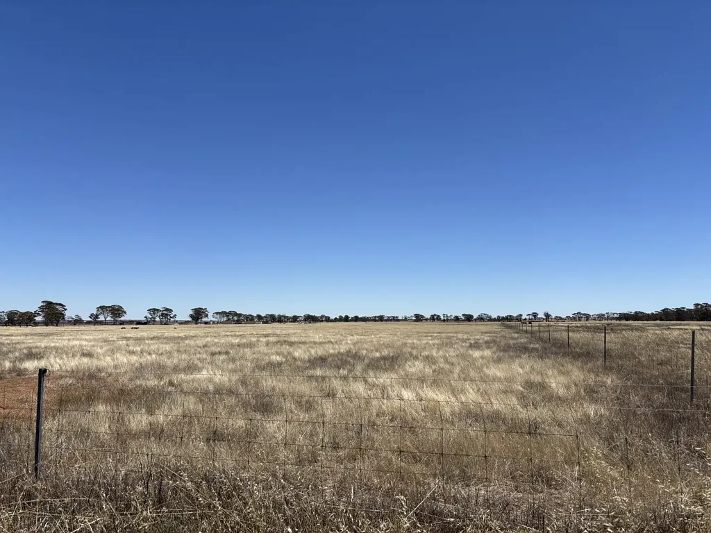 Nangeenan  20 Acres of Vacant, Flat Land