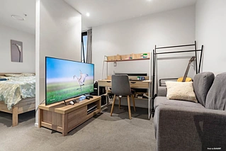 1301/8 Airedale Street, City Centre, Auckland Central, Auckland City