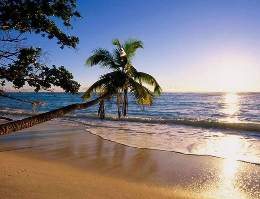 222/305-341 Coral Coast Drive, Palm Cove, Cairns, 2房, 1浴, Apartment