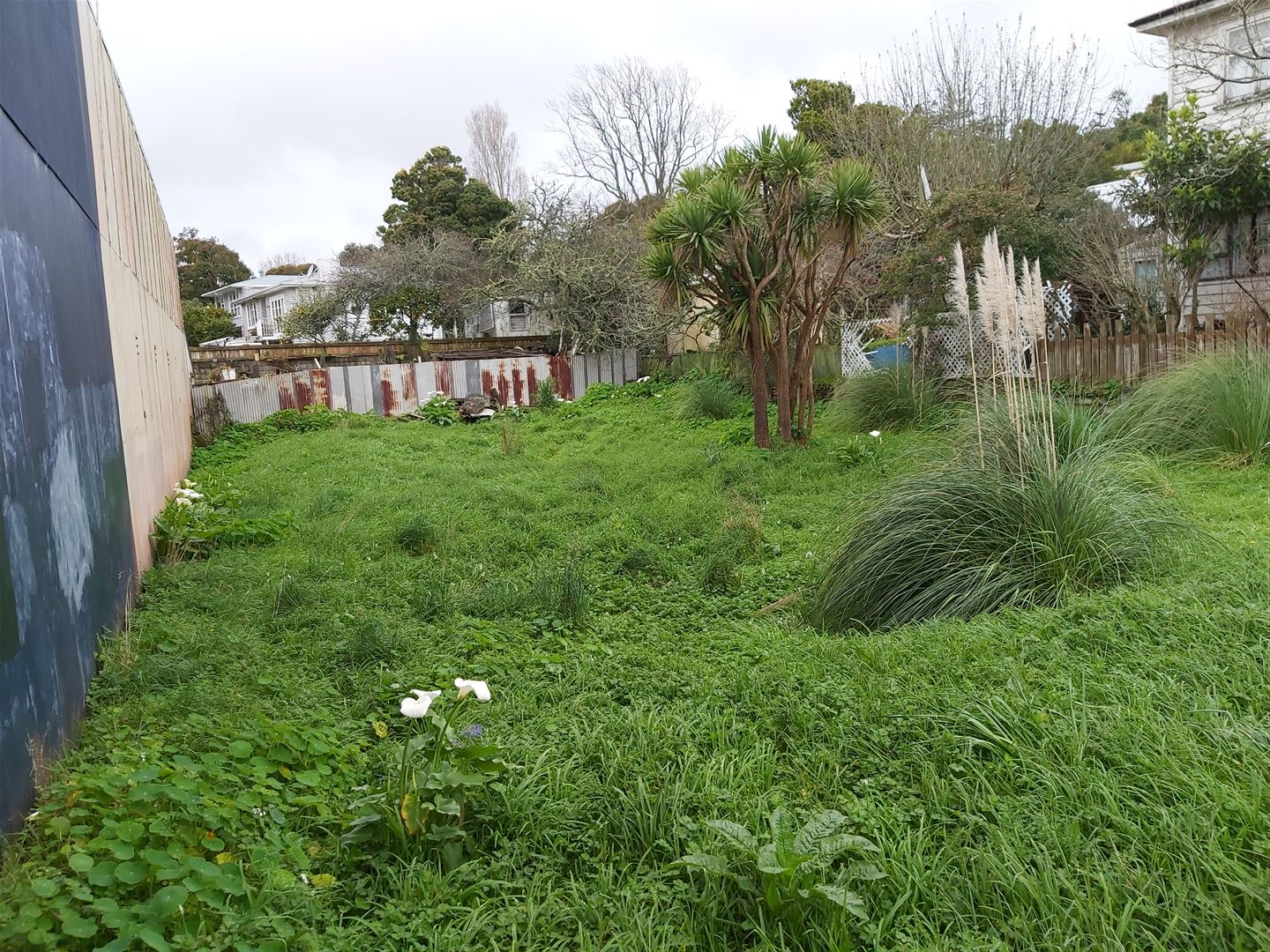 16 Garfield Road, Helensville, Auckland - Rodney, 0房, 1浴