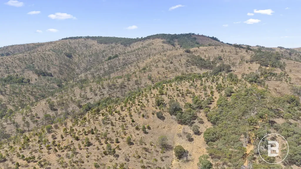Barkly A Private Sanctuary Above the Clouds: 39.85 Hectares of Pure Aussie Bush