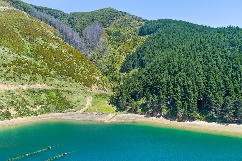 Marlborough Sounds 30+ Ha of Sounds Paradise. Your Escape Starts Here