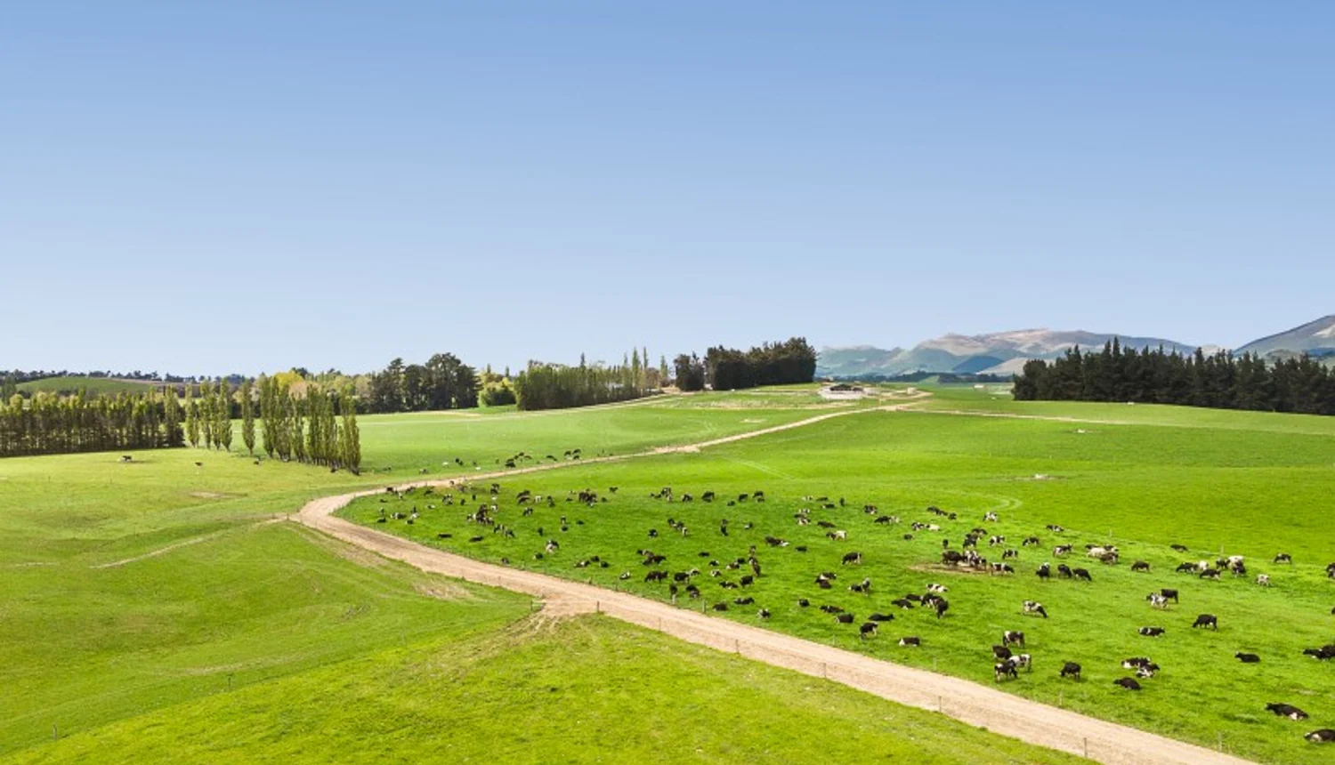 545 Clydevale Road, Clinton and Surrounds, Clutha, 13 ਕਮਰੇ, 0 ਬਾਥਰੂਮ, Dairy