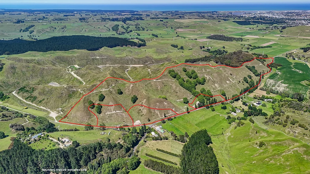 Okoia Unique Okoia opportunity