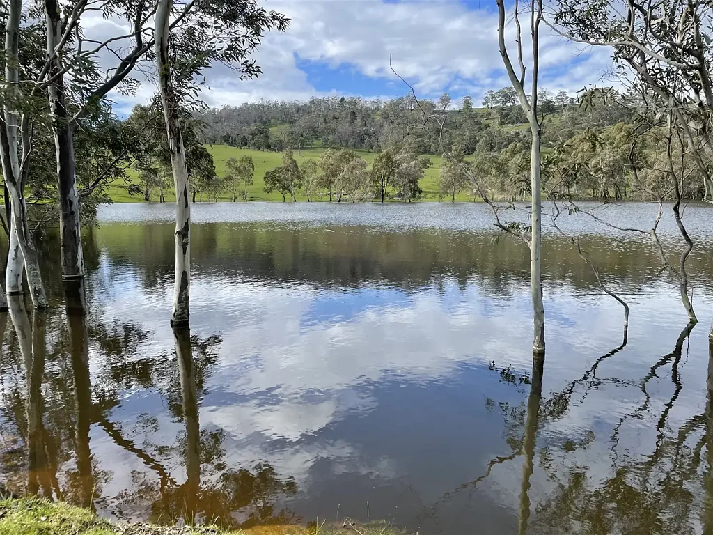 Faraday 7 Lots of prime Land offered